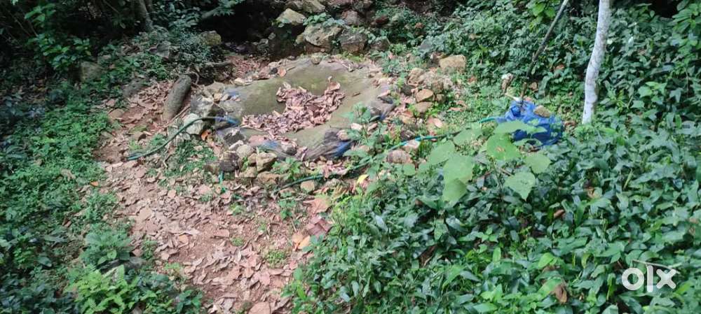 Plot for sale near TOMS Engineering college, Mattakara
