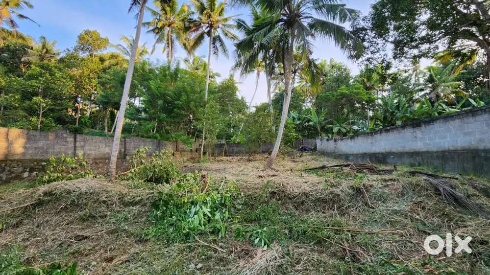 9.5 cents plot for sale