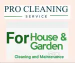 Pro cleaning service