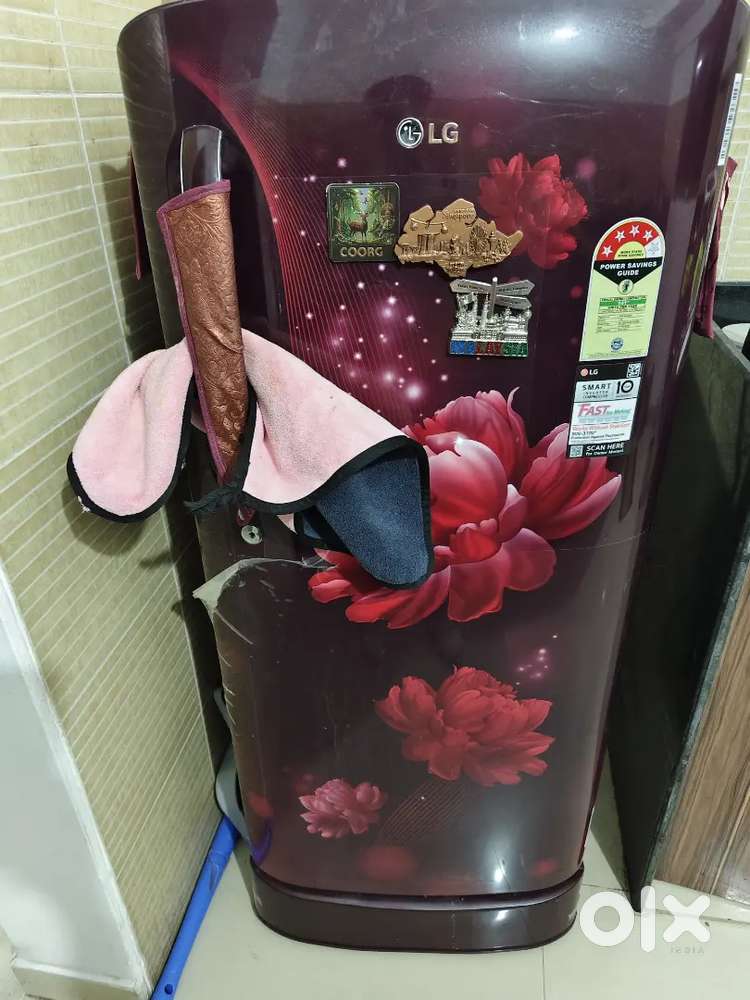 Fridge 1 year old