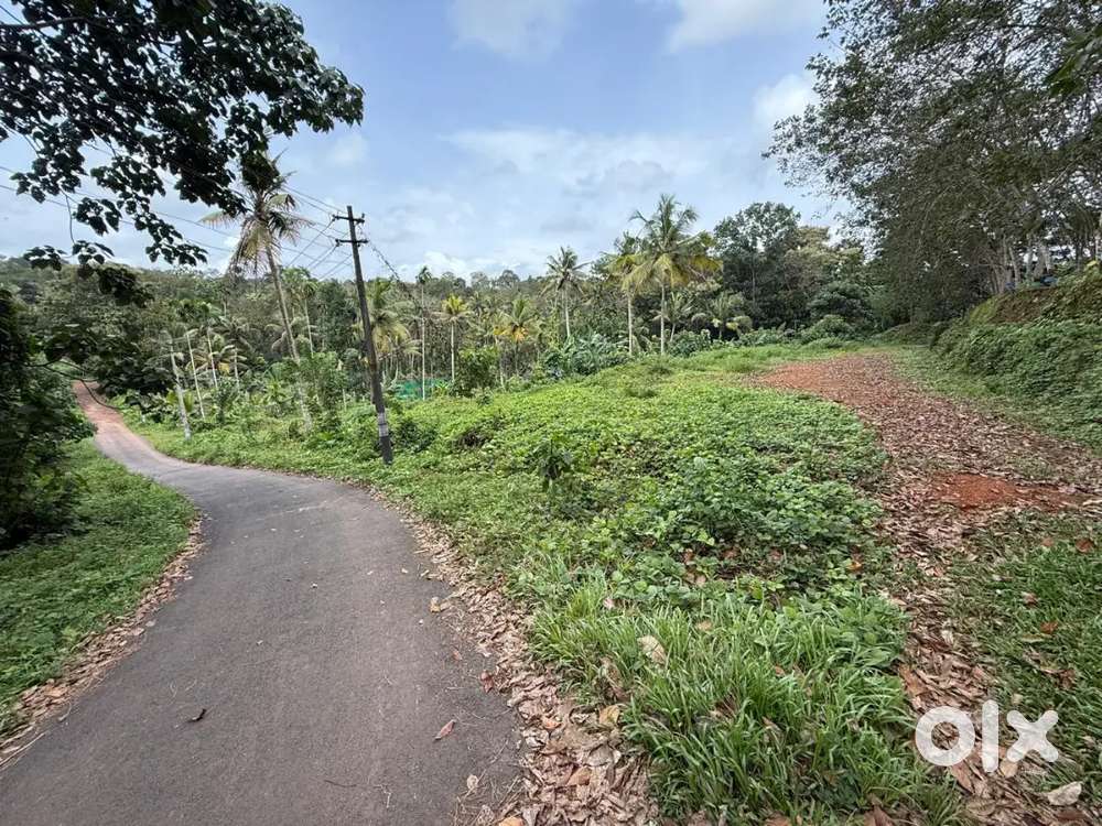 1 ACER PLOT FOR SALE VAKATHANAM KANNACHIRA PUTHENCHANTHA ROAD