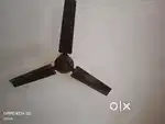 Ceiling fan