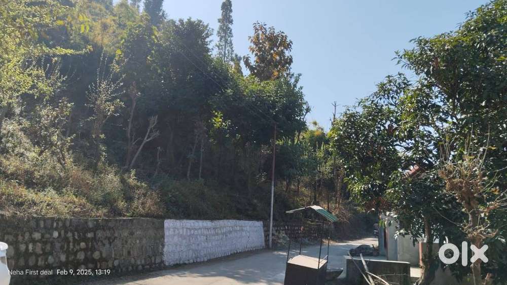 residential and investment plot for sale badasi hills near thano chowk