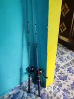 Arjent sale