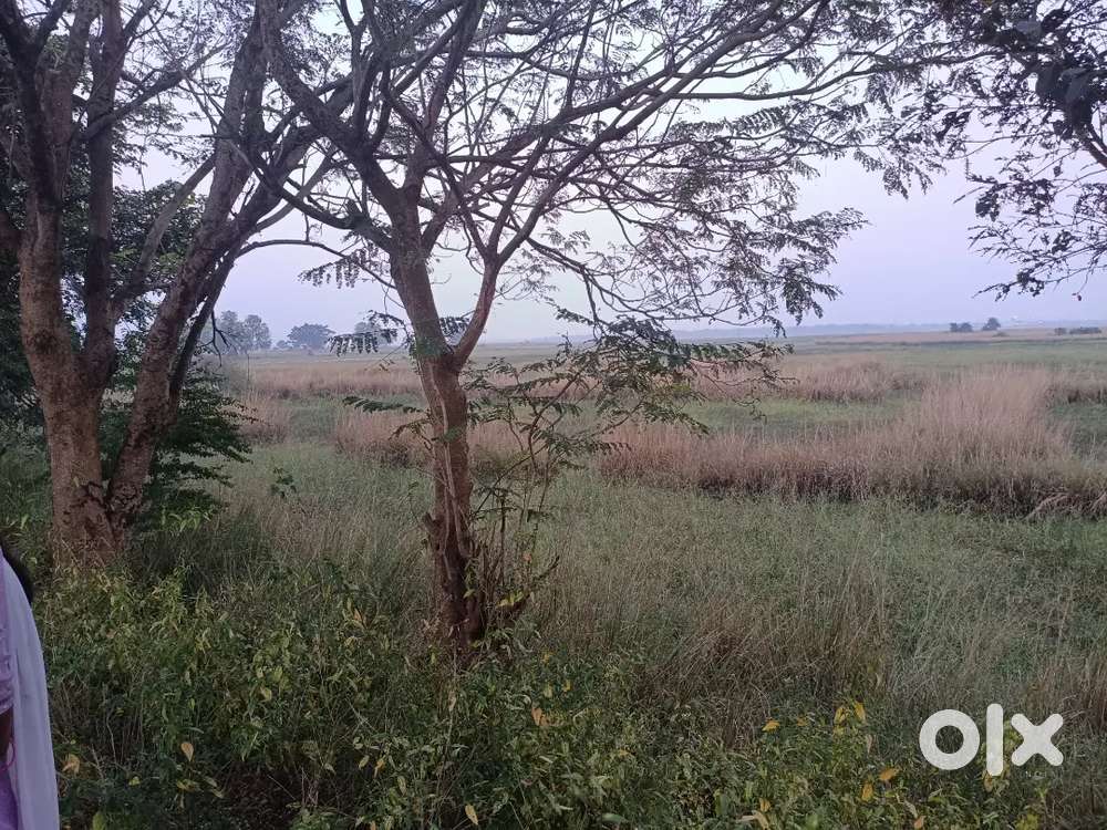 White Ars Infrastructure