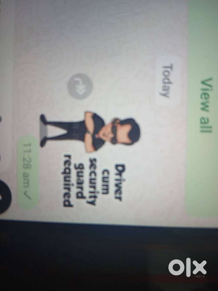 Driver cum security guard required near model town yamuna nagar