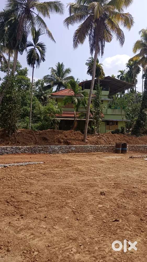 8 cent cent plot available angamaly elavoorkavala NH 1km