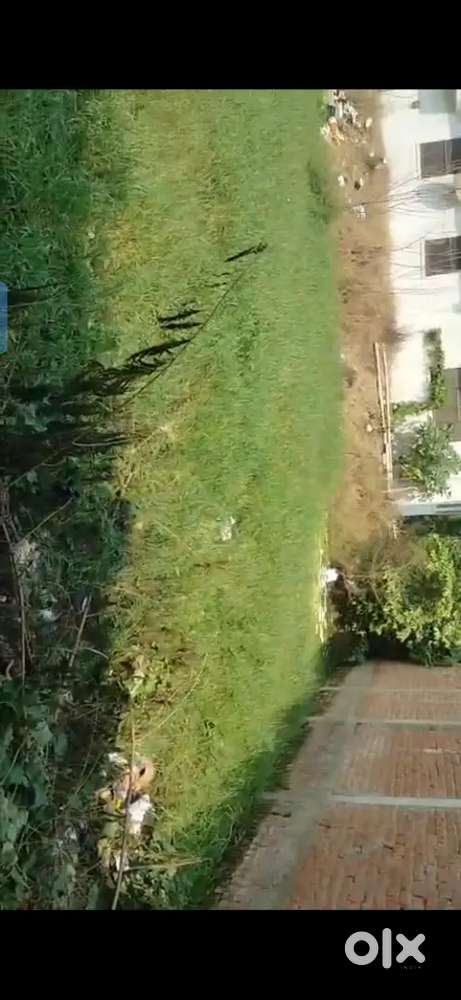 2 Dismil jamin Kanchan nagar patel college get ke pas hai