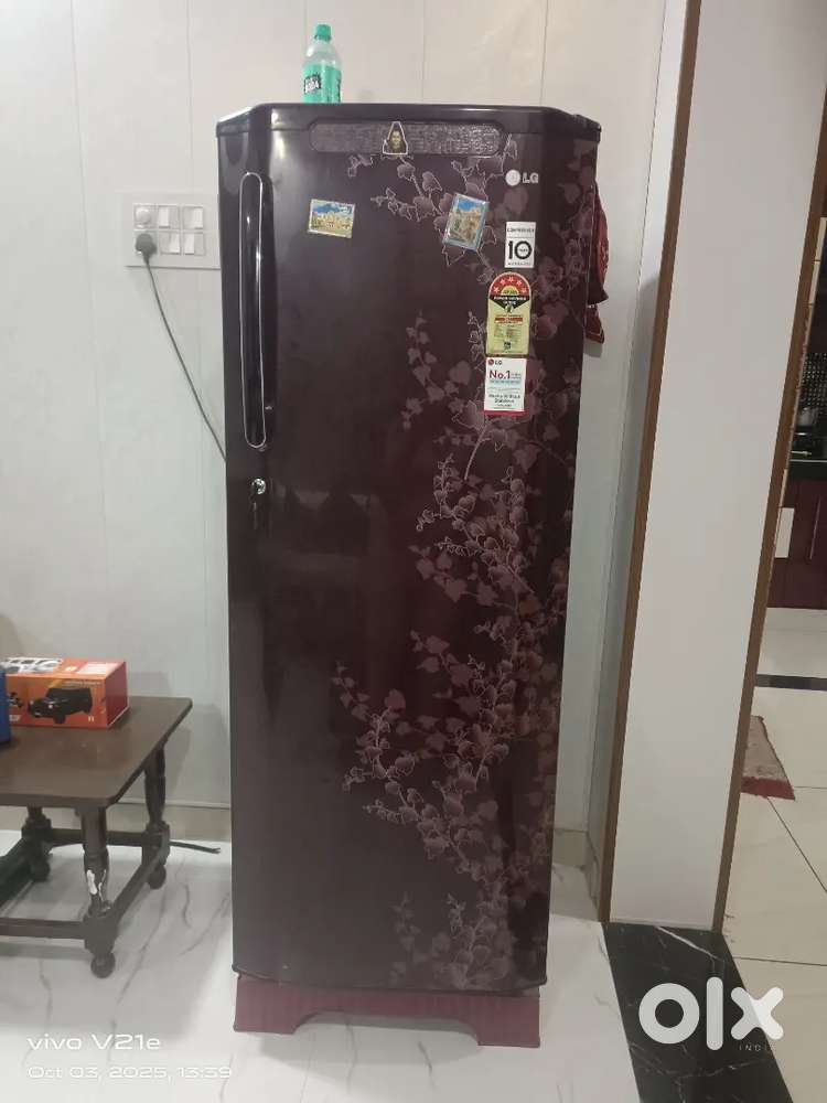 Refrigerator (fridge)