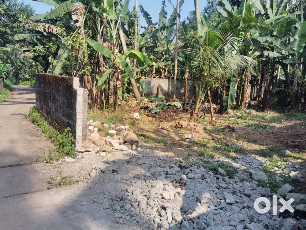 5.5 cent square plot ,near Govt ITI ,all sides covered with walls