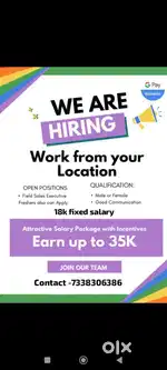 Sales Executive