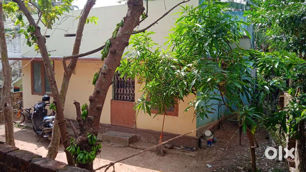 HOUSE FOR SALE IN PANGODE