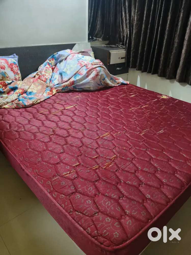 Curlin bed used