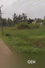 Plot in srinivasapuram
