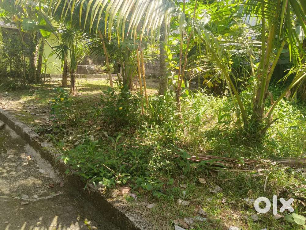 Plot for sale in Thirumala Plavila