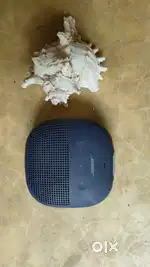 Bose Bluetooth speaker