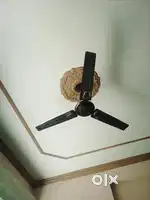Crompton ceiling  5fan