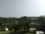 135 guj beautiful commercial cum Residencial plot for sale