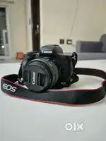 Canon m50 mark2