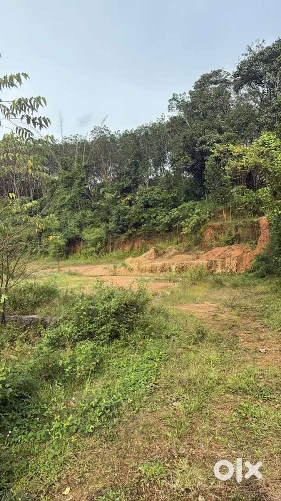 1,75 Acres Land For Sale Behind Smart City Kakkanad
