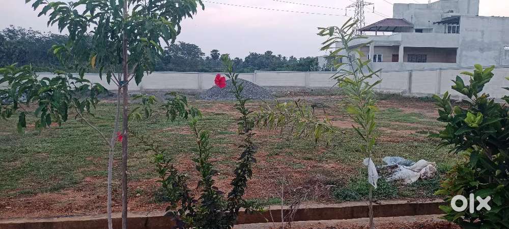 CS Academy School -North facing 2500 sq ft Thindal Ring Road
