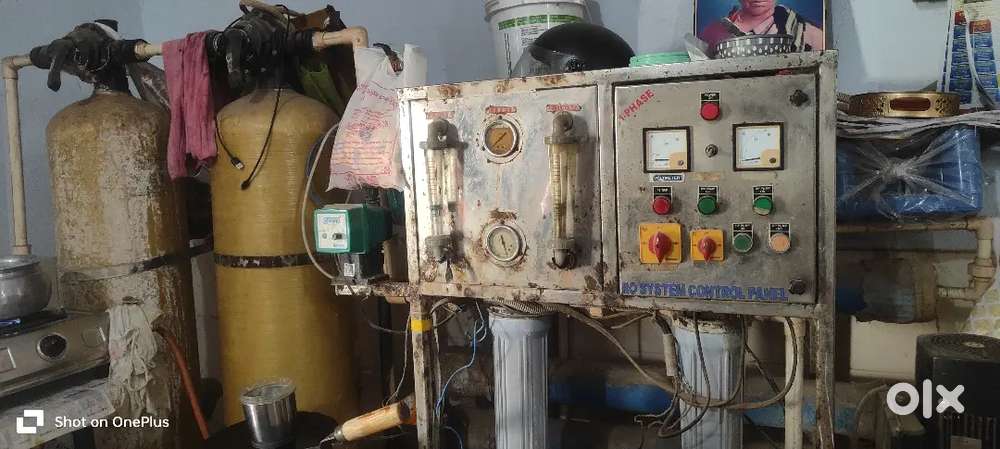 water plant