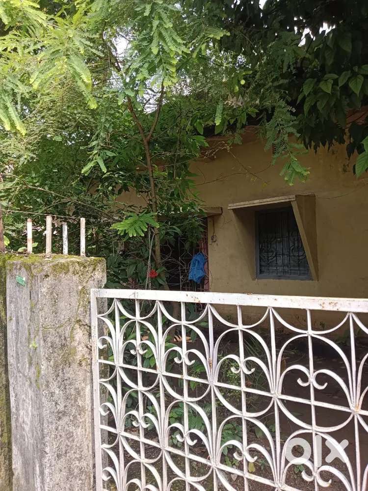 General Plot For Sale in New Area Morabadi