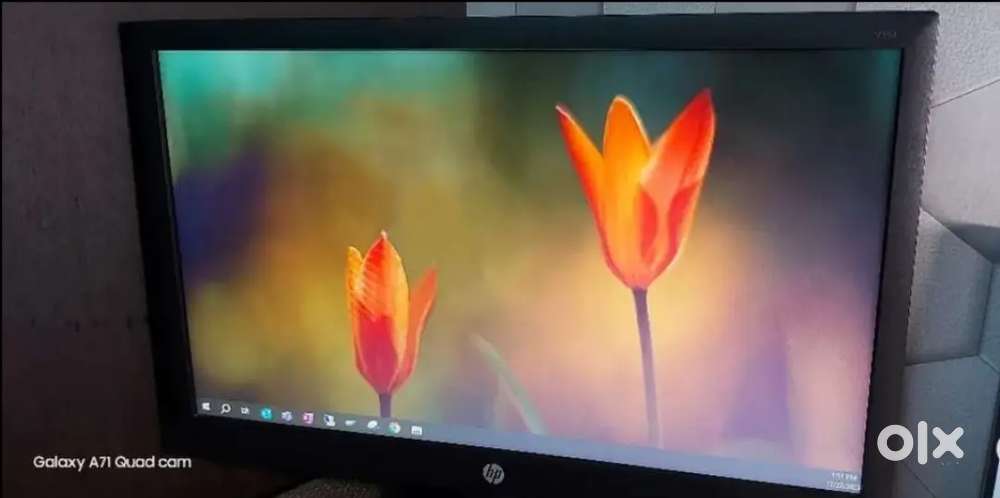 HP Monitor