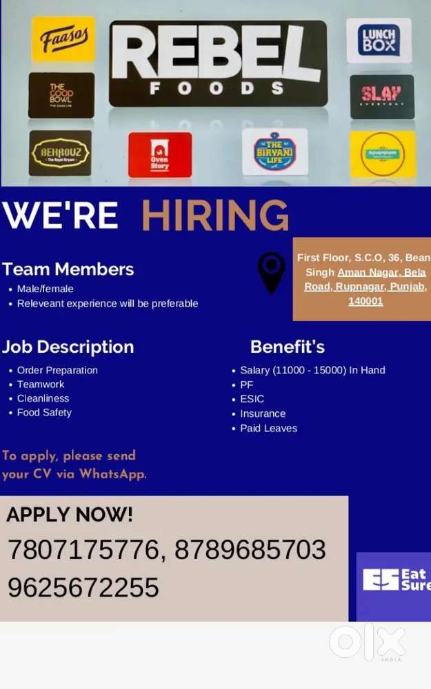 Restorent   team member