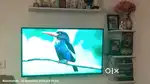 43 Inches MI TV AXSO2 4K Ultra LED on Sale