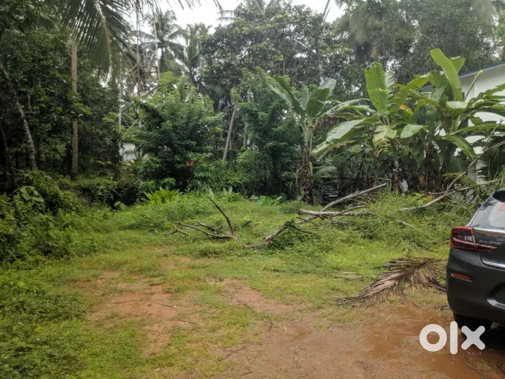 15 cent commercial plot for sale near nadakkavu