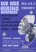 Bajaj Finserv, sales executive