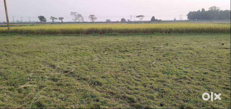 20 bigha of agricultural and commercial land is available for rent