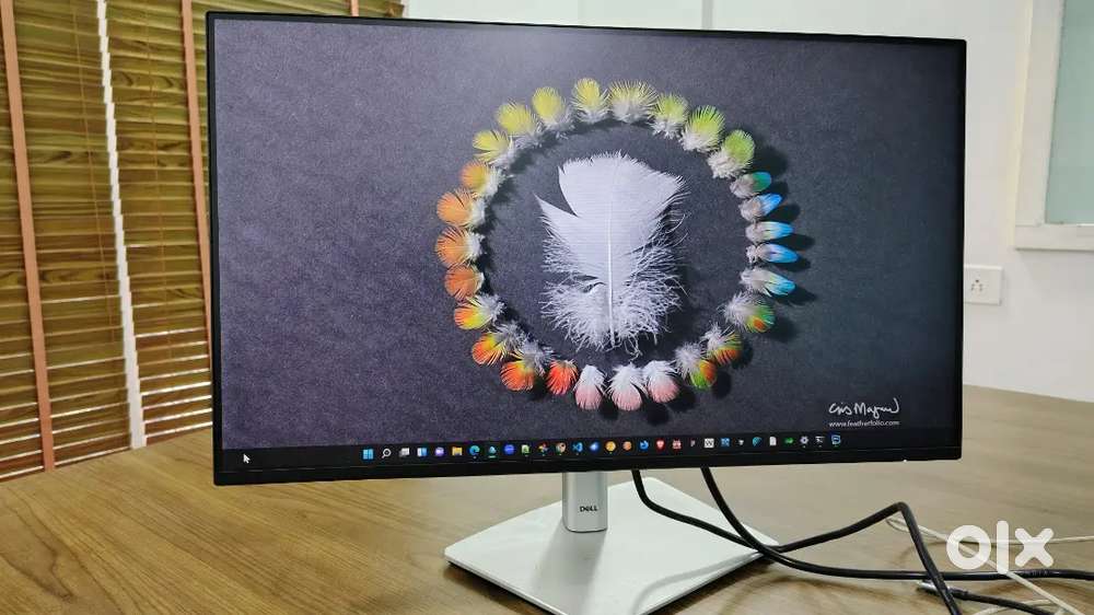 Dell Monitor 24 inch