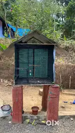 Bird cage for sale,3X3 cage,with breeding box