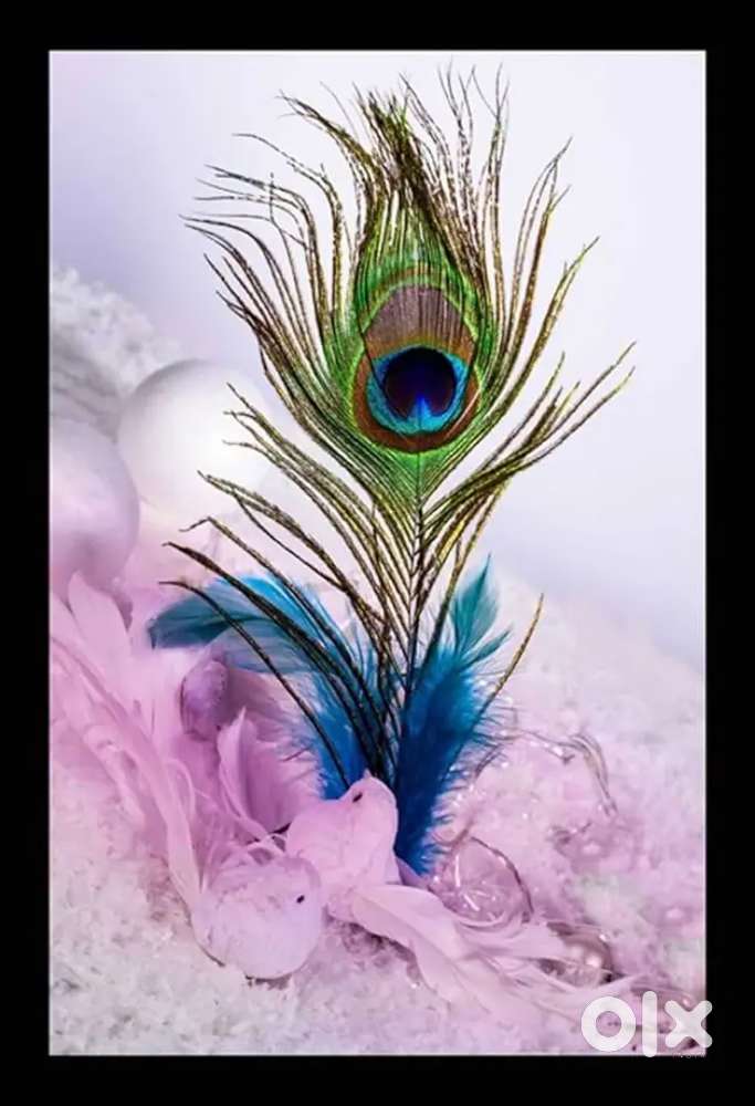 Anisabad me makkan hai 3rd floor total 10 room complete