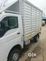 Delivery driver and delivery boy