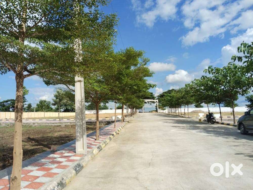 Secure Your Plots in a Prime Layout