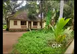 15 Cent Residential Land - Peyad, Near SP Theatre (Old House Included)