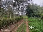 80 Cent Riverfront Plot with Paddy View – Valavayal, Wayanad