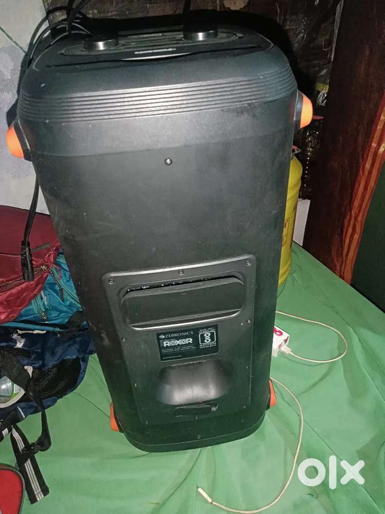Zebronic speaker sound box