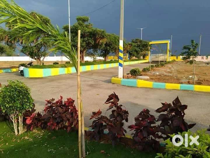 AMANGAL HMDA PLOTS @ Only 1999/- Per Syd