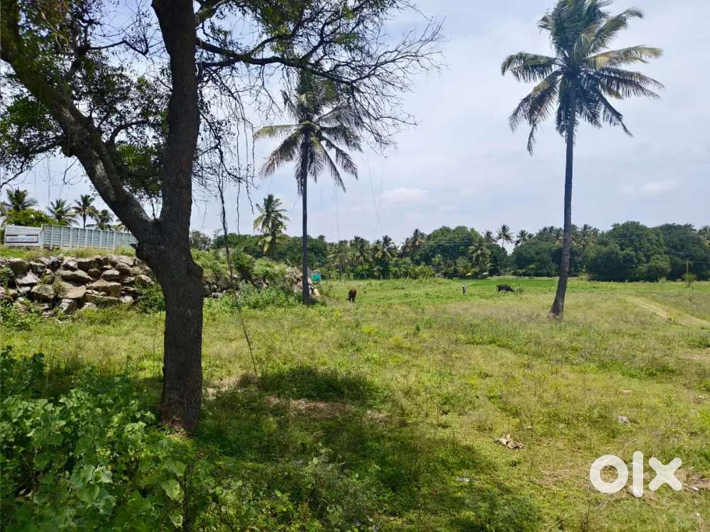 Land for sale