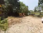 15.5 Cent plot for sale in Kundara