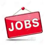 Baramati Sales Marketing Manager