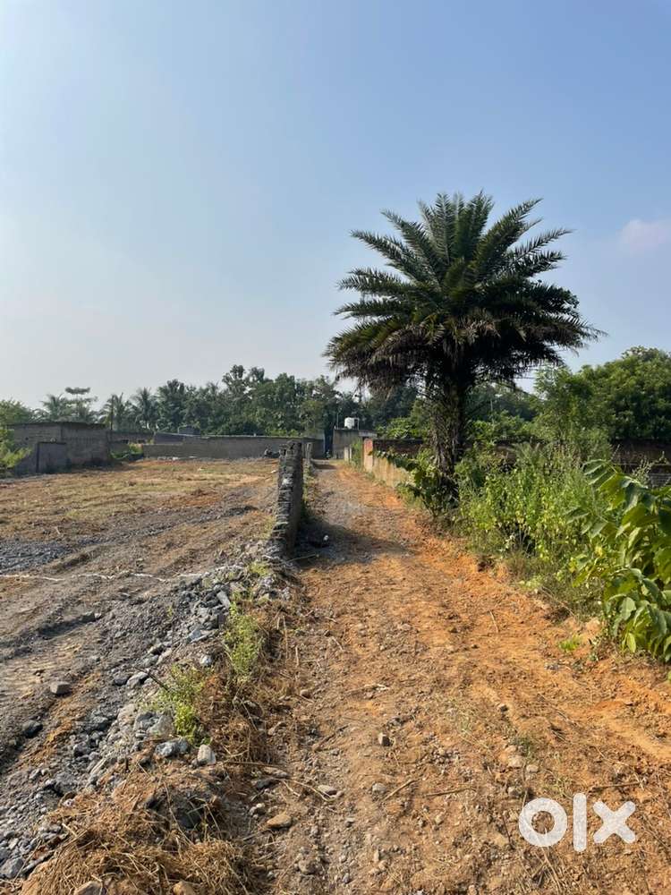 Registry mutation plot in kopali plot available in all size