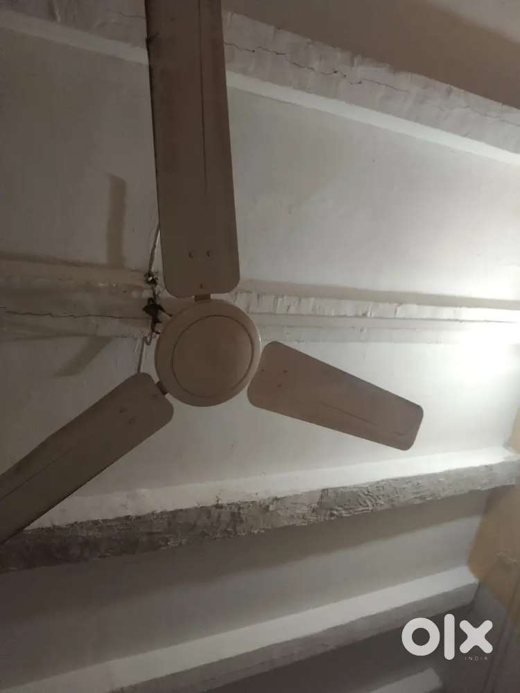 Silling fan for sell