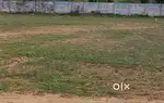 Thirumullaivayal Near Venkateswara School Land Sale Price - 5500/-