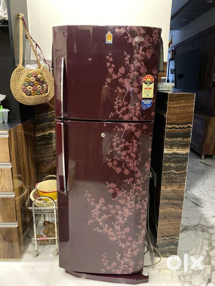LG 290L fridge