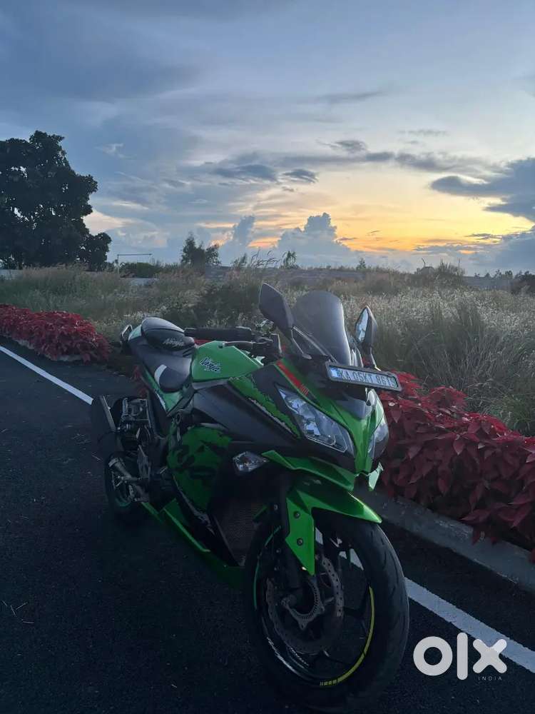 Kawasaki Ninja 300 (2019 )(Candy Lime Green)